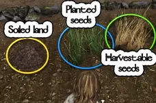 Farming31.png