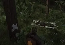 Wood2.jpeg