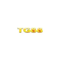 tgnetvn